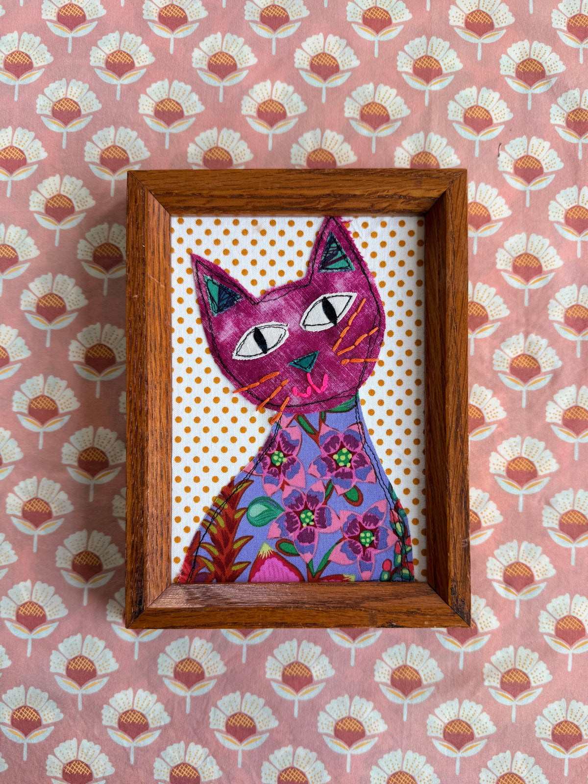 Cat No. 05: Curiosity Club