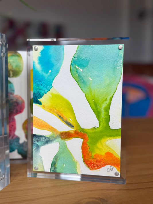 Botanical Alchemy No. 015